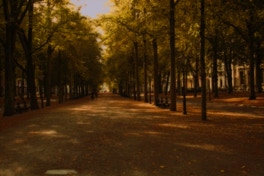 The Hague, Netherlands